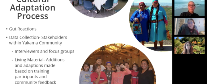 Cultural Adaptation Process